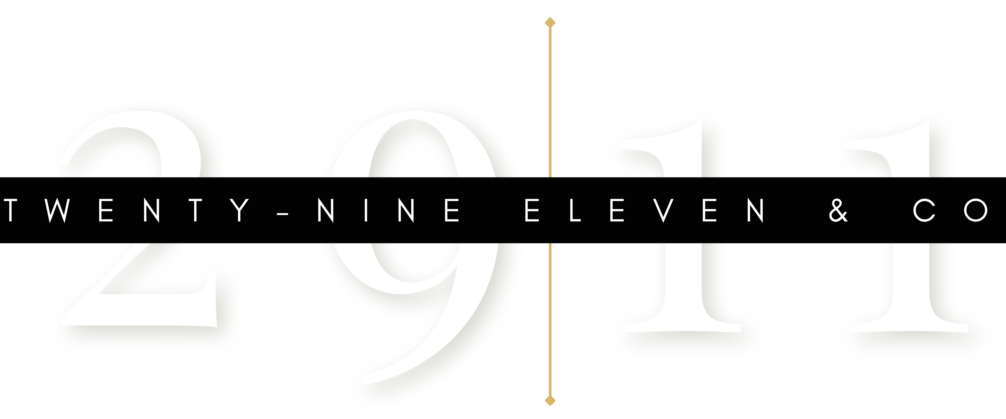 Twenty-nine Eleven & Co.